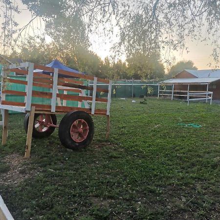 Cabana El Quillay Διαμέρισμα Linares Εξωτερικό φωτογραφία