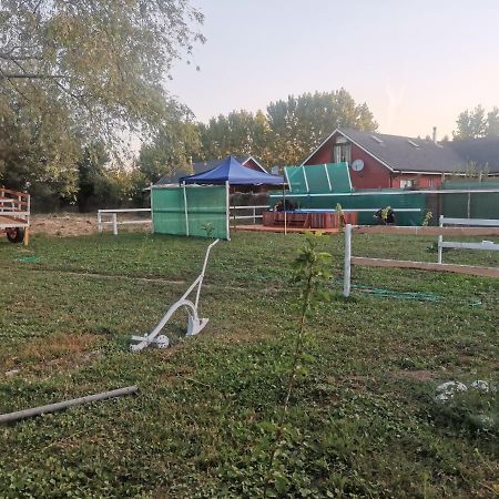 Cabana El Quillay Διαμέρισμα Linares Εξωτερικό φωτογραφία